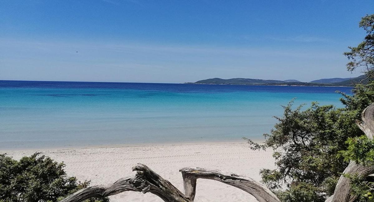 Il Grecale Διαμέρισμα Αλγκέρο Εξωτερικό φωτογραφία